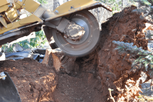 stump removal Greensborough