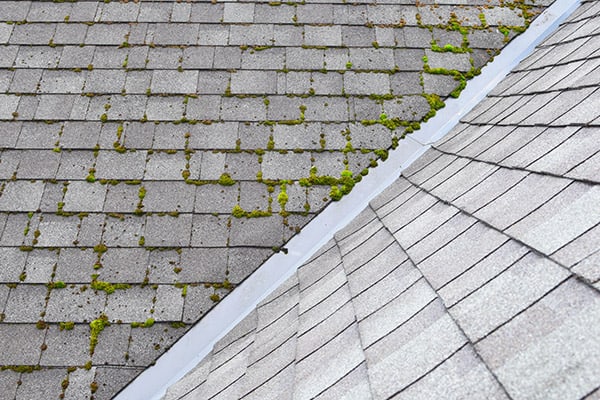 house roof cleaning