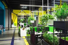 Eco-Friendly Office Renovation Solutions Sydney