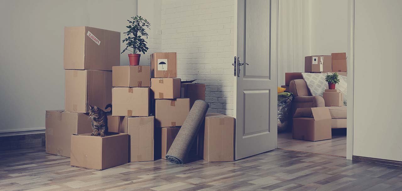 removalist Caroline Springs